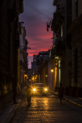 _MG_2342