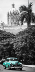 _MG_2393-2