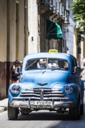 _MG_2426