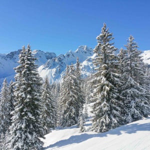 20160226_094845
