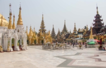 _MG_4443