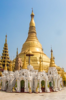 _MG_4446