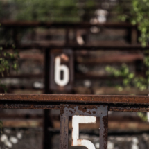 _MG_7012