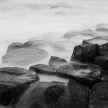 _MG_1014