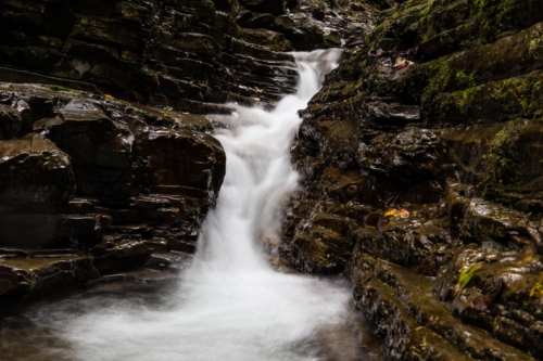 _mg_1647