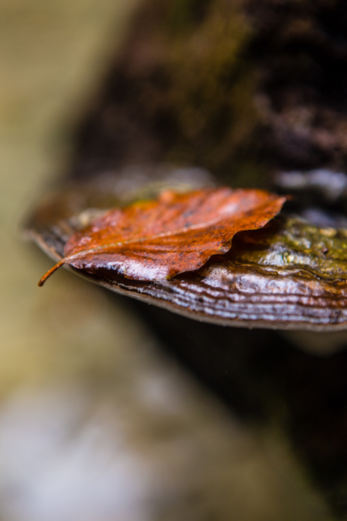 _mg_1660
