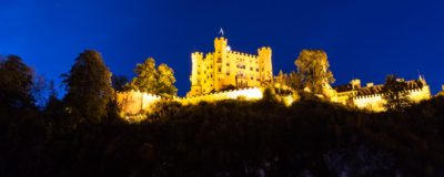 _mg_2010