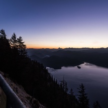 _MG_3598