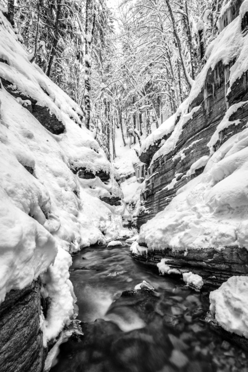 _MG_2743-Bearbeitet
