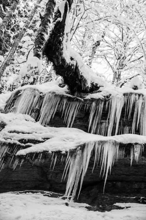 _MG_2758-Bearbeitet
