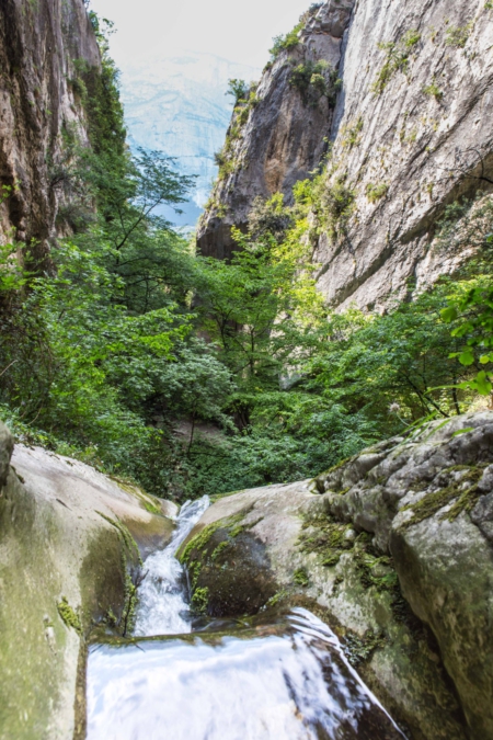 _MG_3923