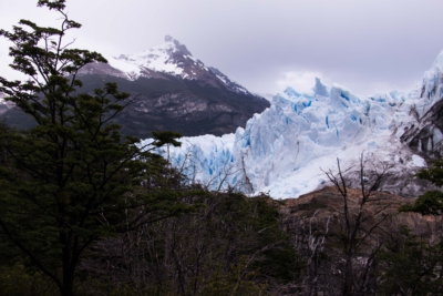 _MG_8585