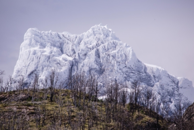 _MG_9862