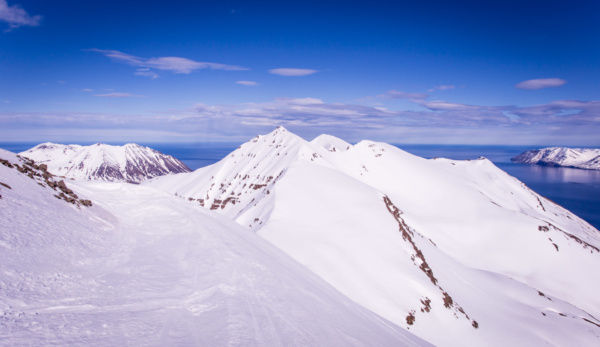 _MG_7458 - Kopie