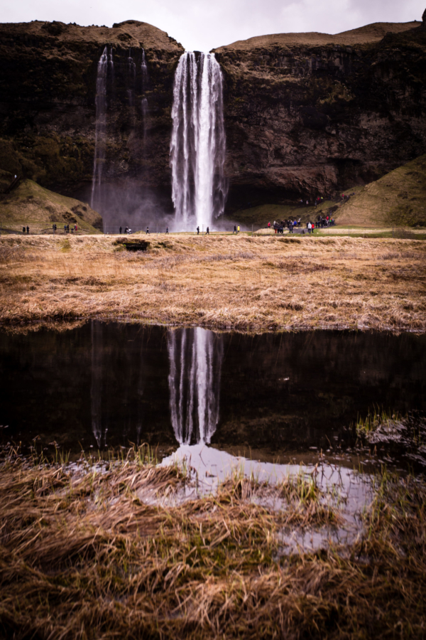 _MG_7960