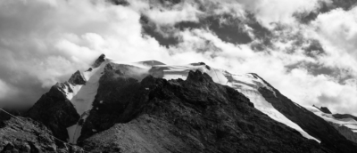 _MG_9511