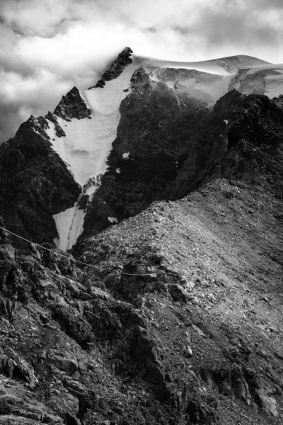 _MG_9513-2