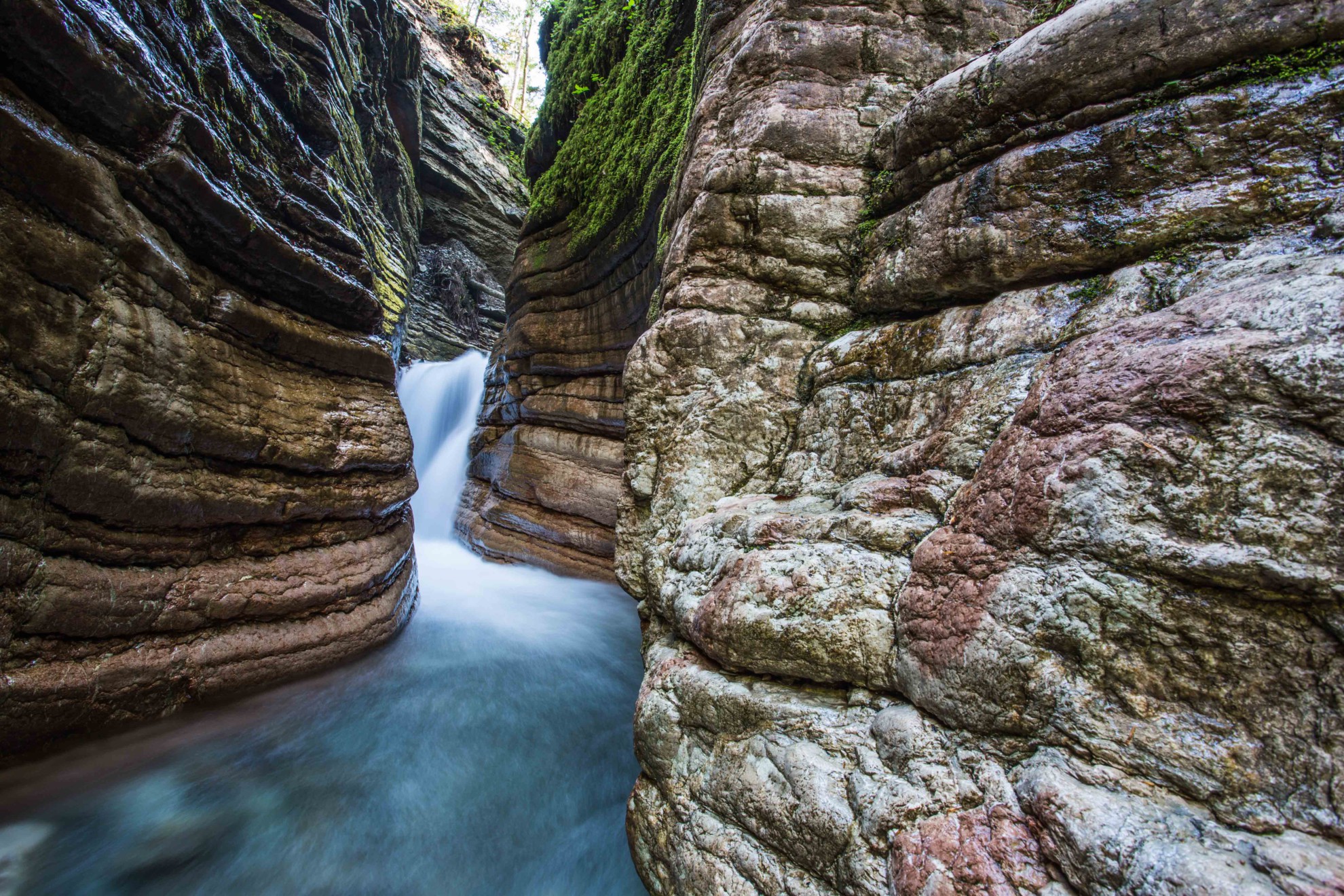 MG_7355