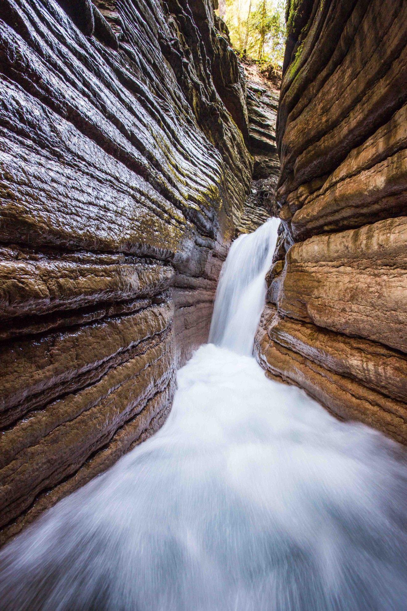 MG_7384