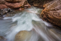 MG_7767